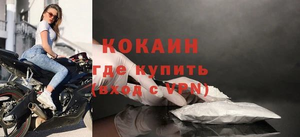 ПСИЛОЦИБИНОВЫЕ ГРИБЫ Инта