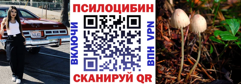магазин    Партизанск  KRAKEN рабочий сайт  Галлюциногенные грибы Psilocybine cubensis 